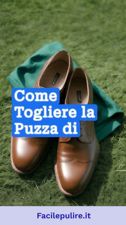 come togliere la puzza di muffa dalle scarpe di pelle